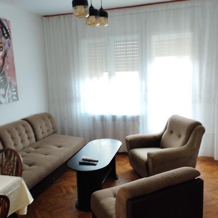 Apartament Vila Mihajlovic Brus Zewnętrze zdjęcie